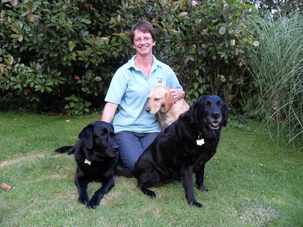 Canine Therapy