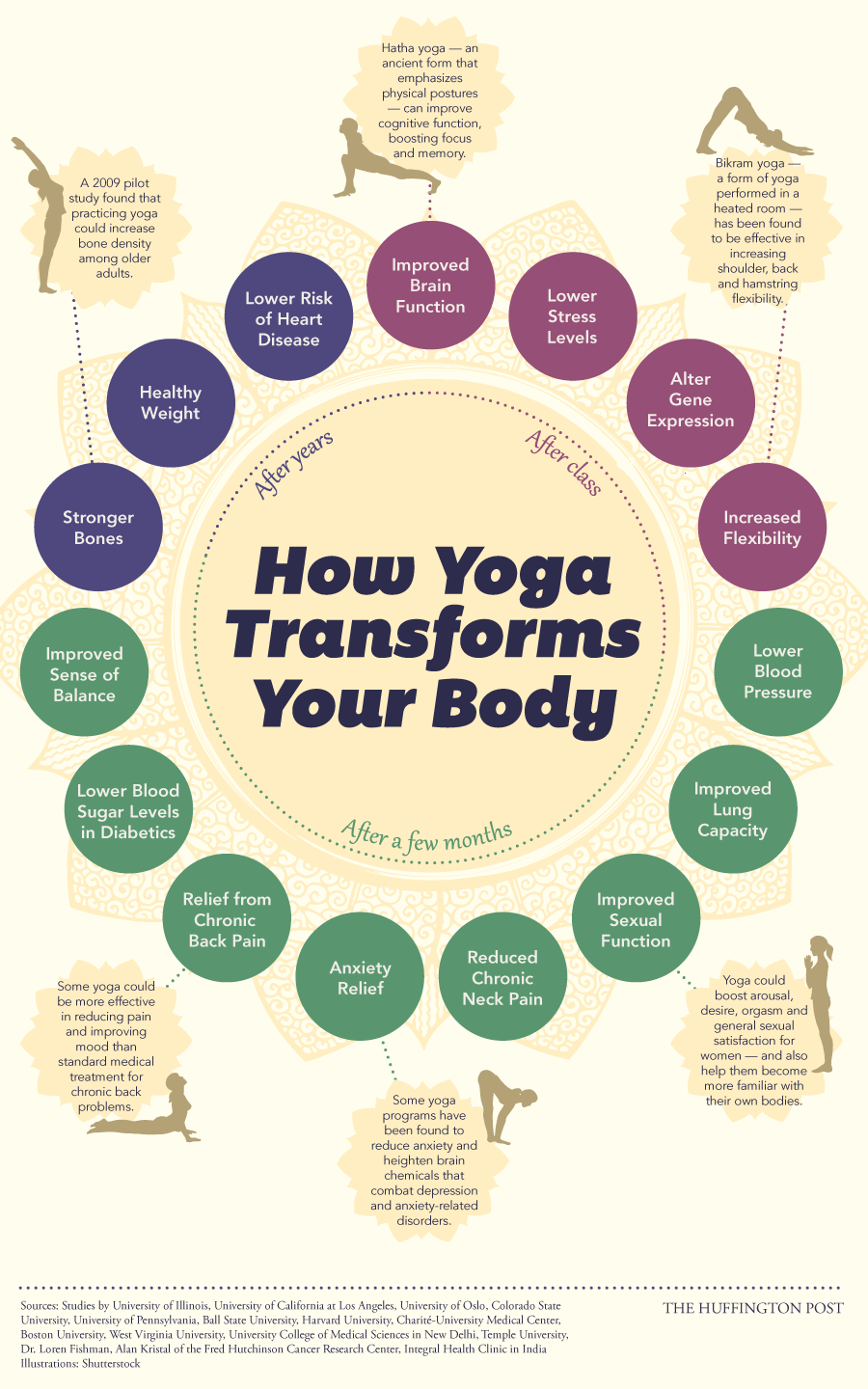 How Yoga Transforms Your Body yoga infographic