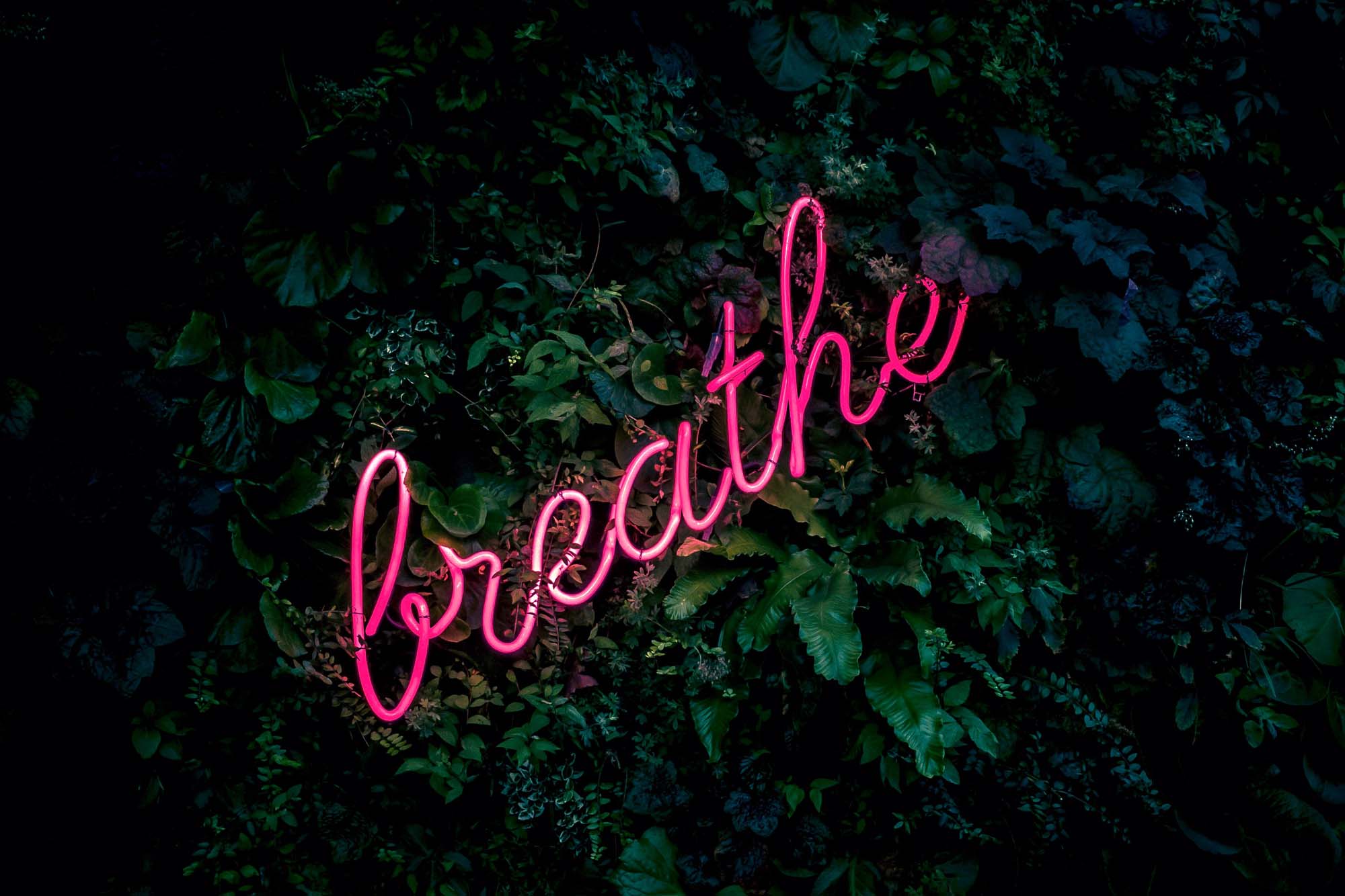 Breathe|||Janu Sirsasana||Yoga pose||Yoga Poses||||Yoga Pose||