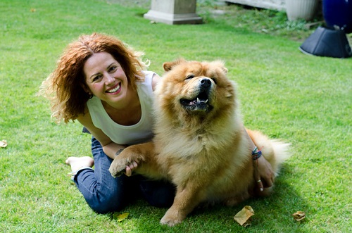 What is Animal Communication?