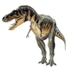 Prehistoric attunement