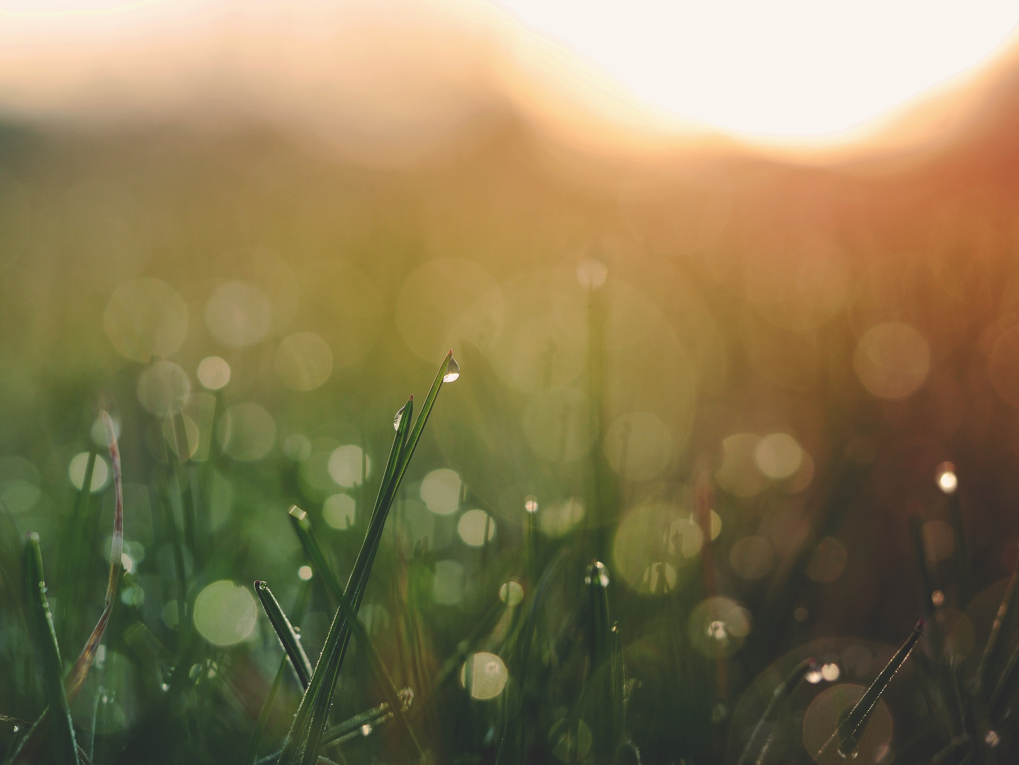 Counselling|Talo|