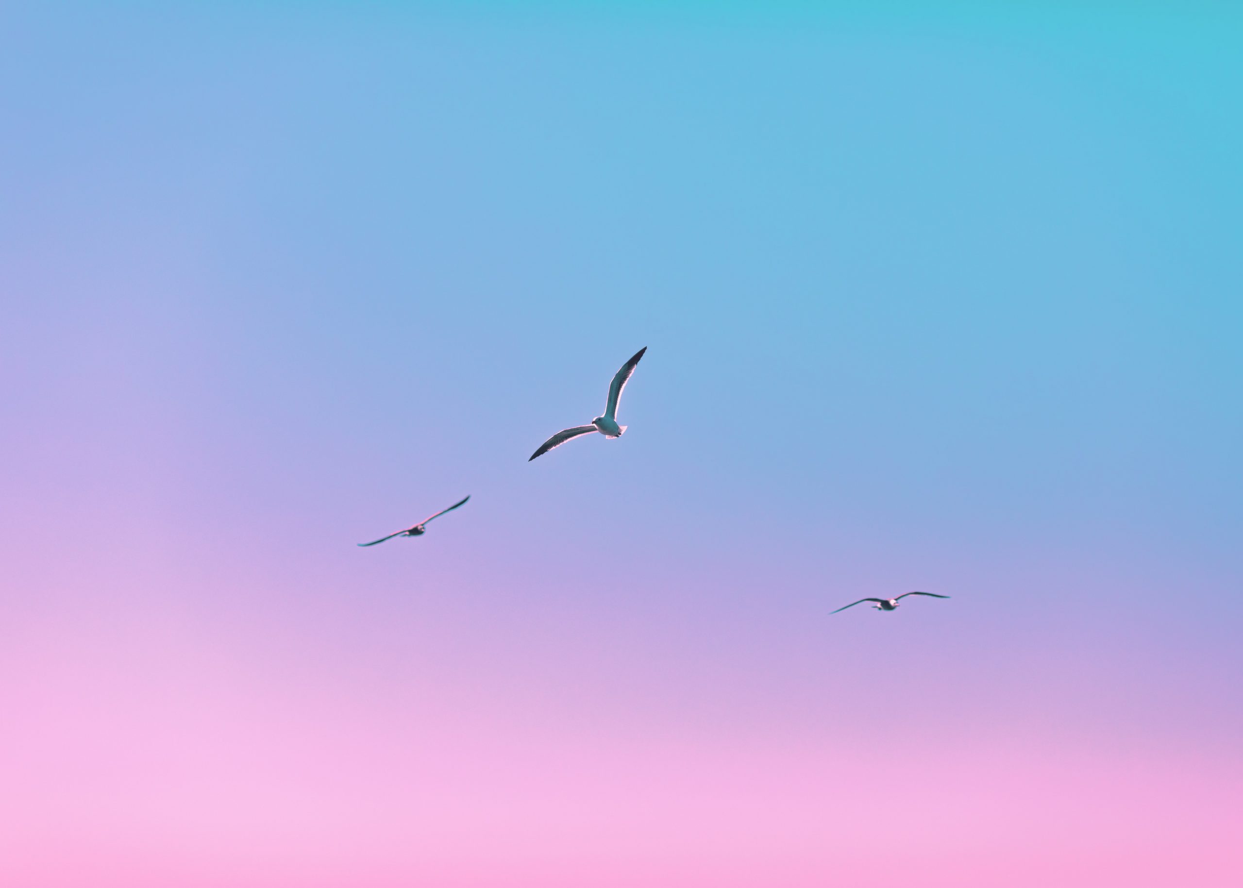 |