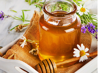 Honey Therapy|Honey Therapy|Honey Therapy|