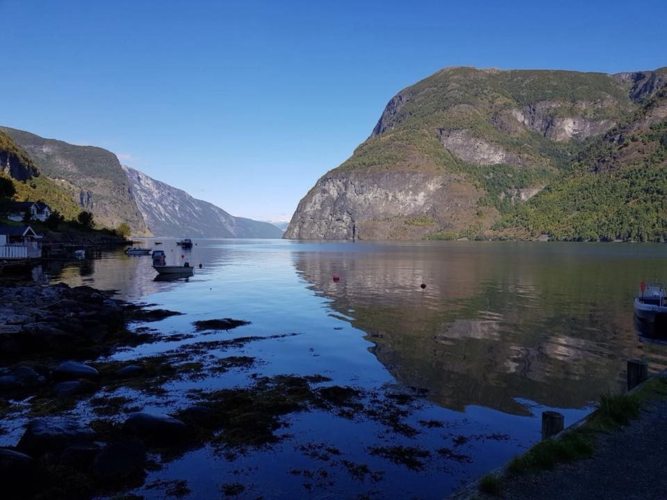 mindfulness|Mindfulness||Mindfulness