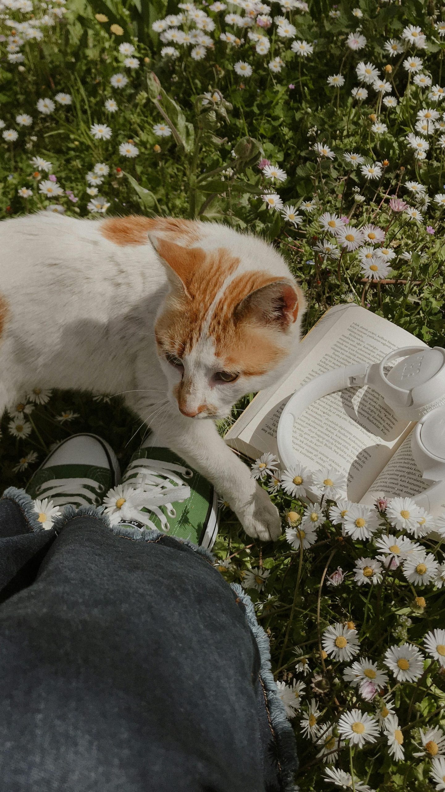 |