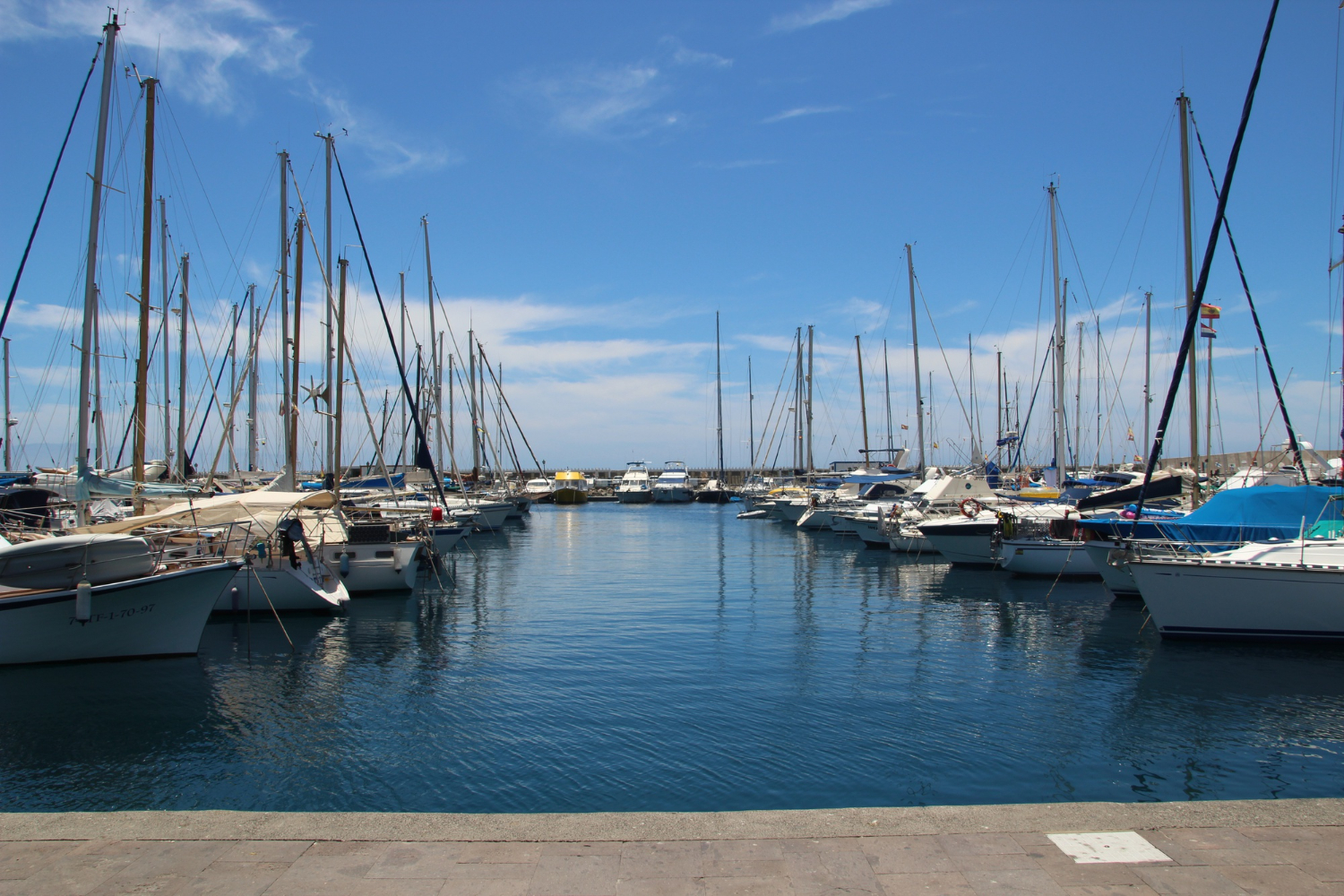 Boats in a Marina|