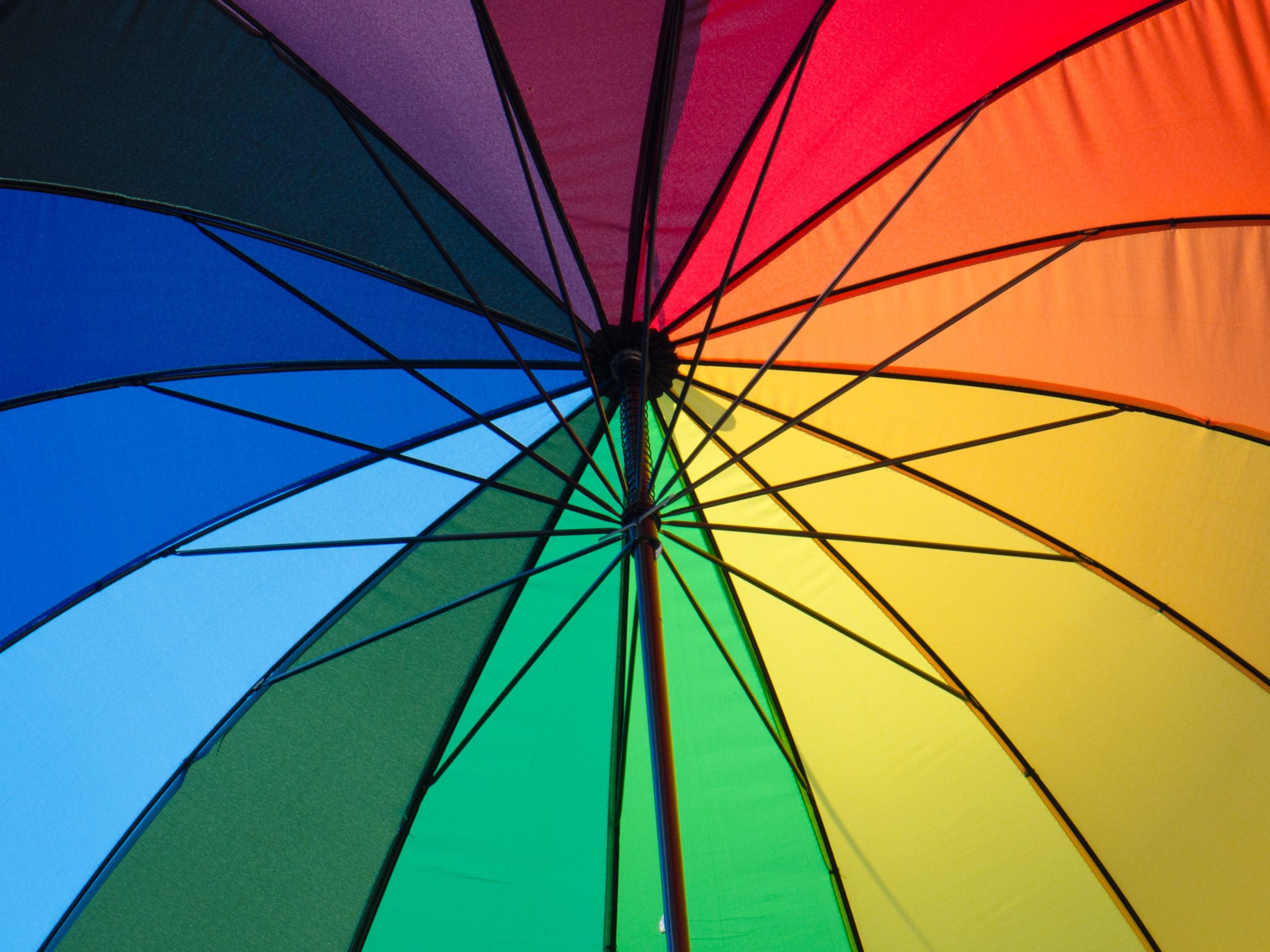 |colour therapy|colour therapy|