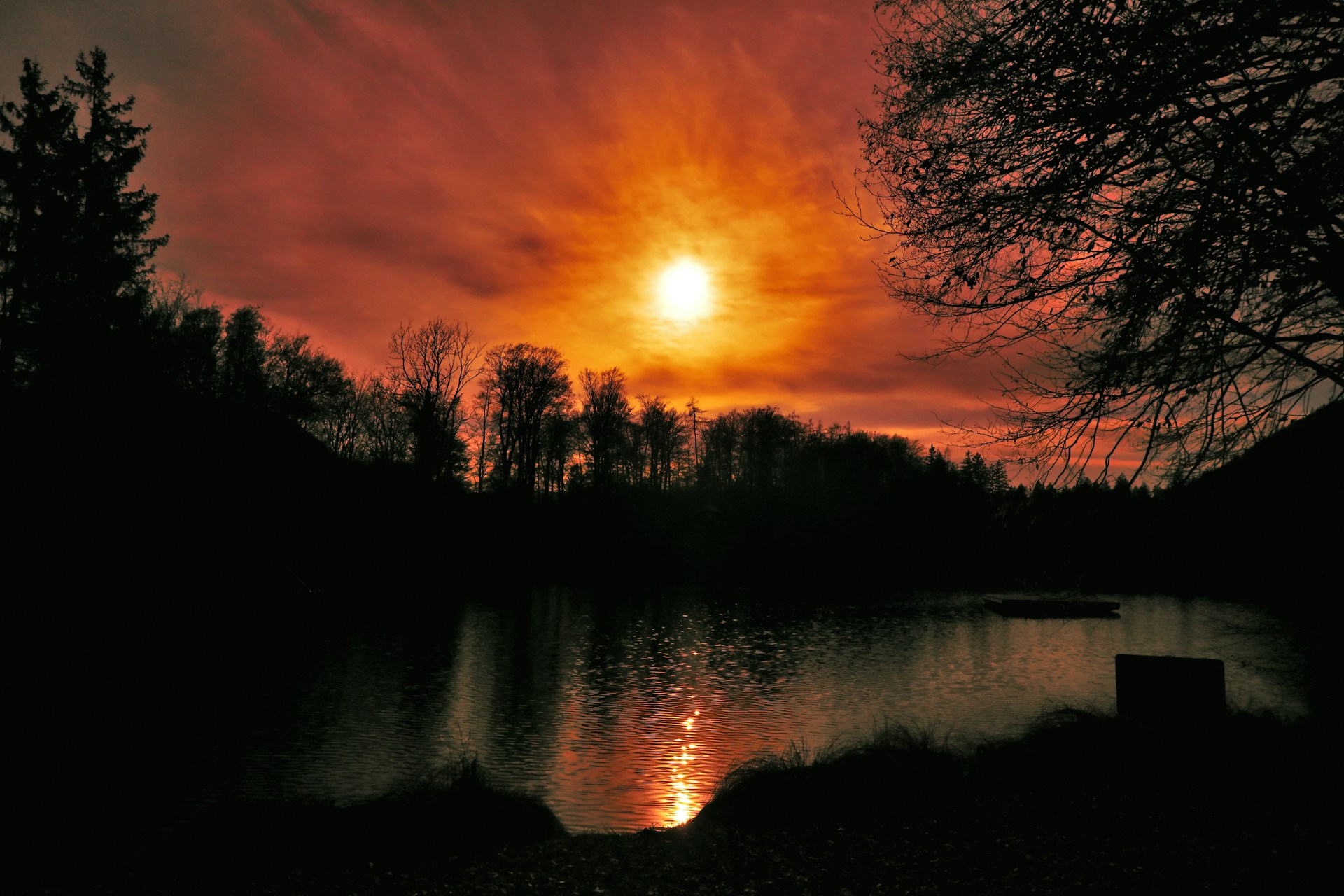 niklas-JYCtMDOiyJ4-unsplash