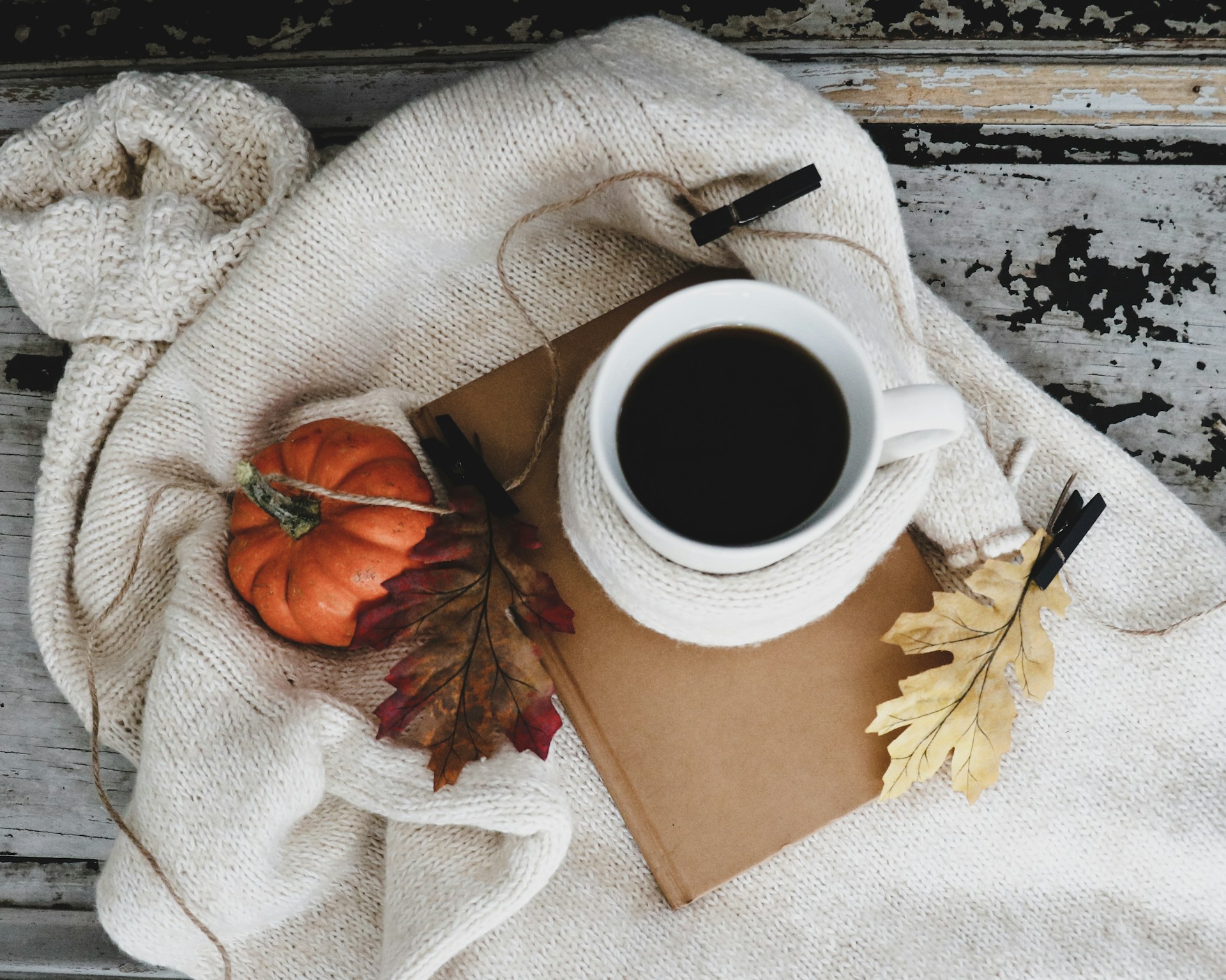 debby-hudson-PNyKBrgMGHo-unsplash