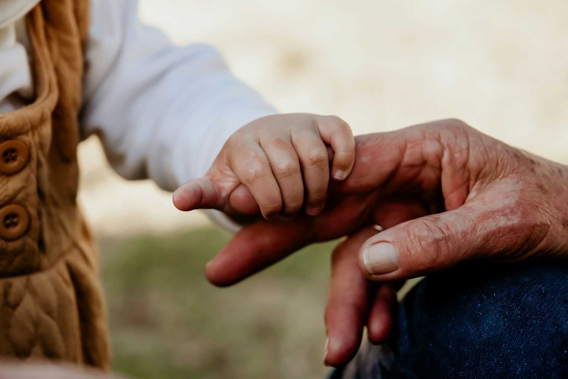 loume-visser-lDCm3Aw3m0I-unsplash